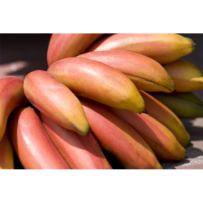 Red Banana