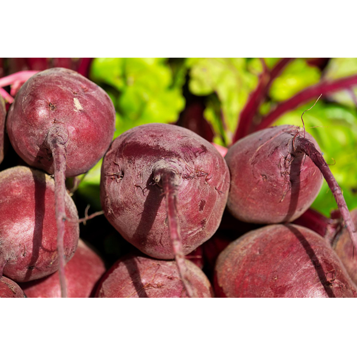 Beet Root